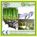 Fábrica de processamento de pepino em conserva e vegetais